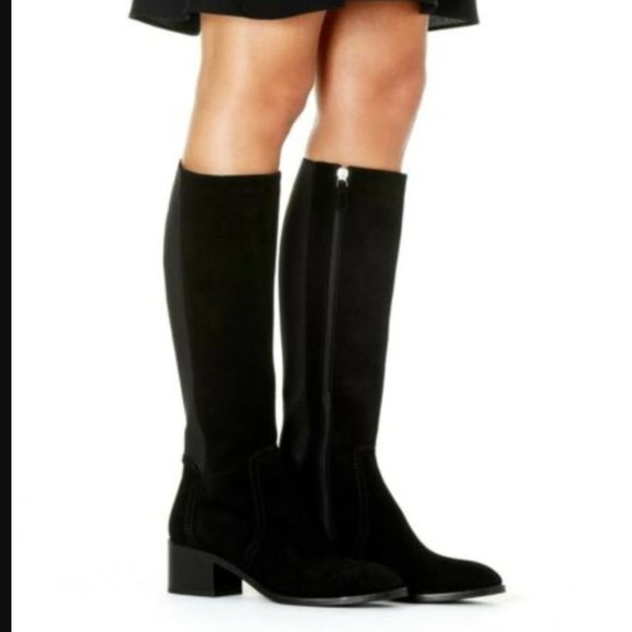 aquatalia jordan suede tall boots